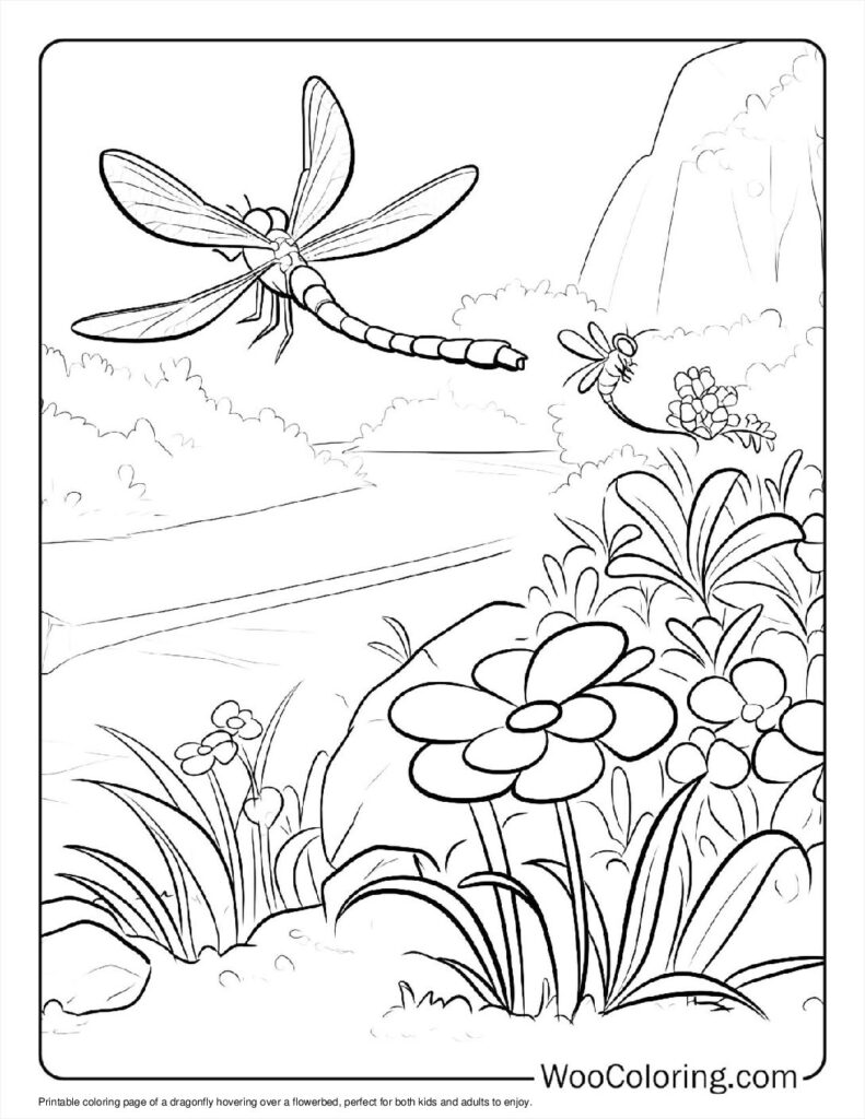 100  Dragonfly coloring pages  Free PDF To Print  - 54