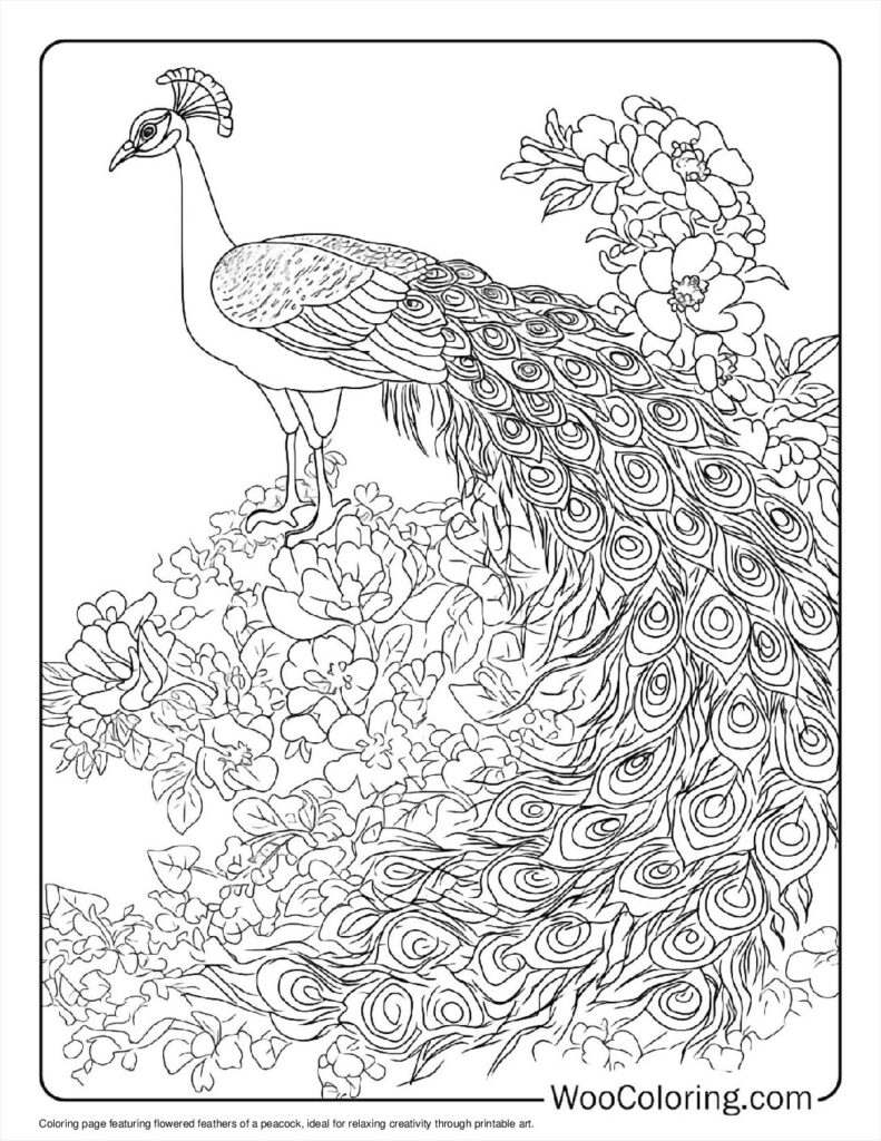 100  Peacock coloring pages  Free PDF To Print  - 71