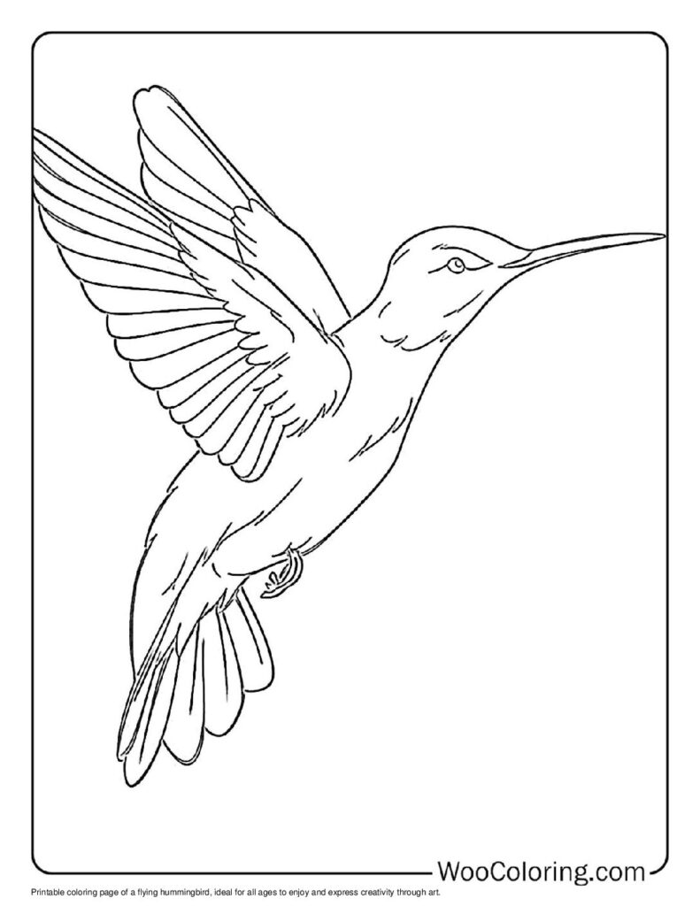 100 Hummingbird coloring pages Free PDF To Print - 4