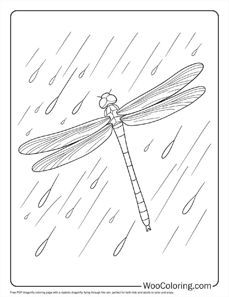 100  Dragonfly coloring pages  Free PDF To Print  - 38