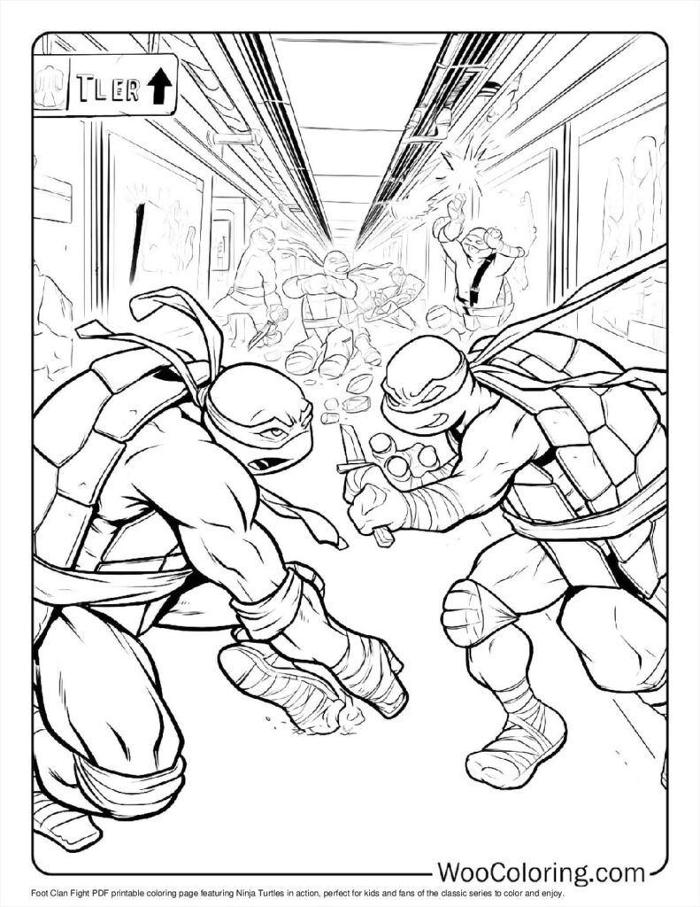 Foot Clan Fight