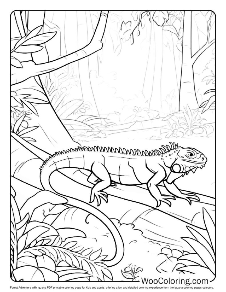 100 Iguana coloring pages Free PDF To Print - 54