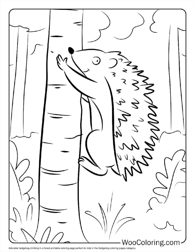 100  Hedgehog coloring pages  Free PDF To Print  - 9