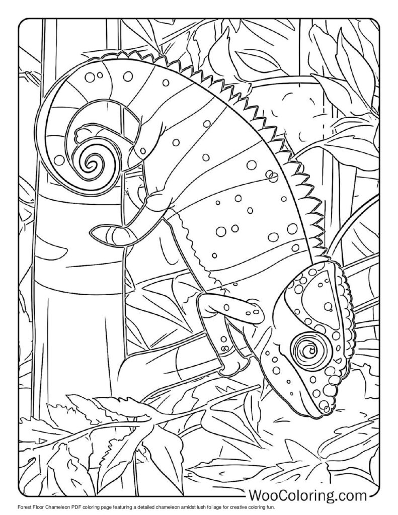 100  Chameleon coloring pages  Free PDF To Print  - 18