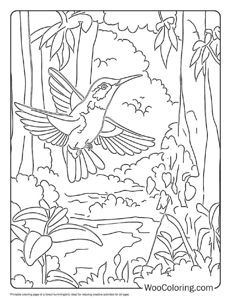 100 Hummingbird coloring pages Free PDF To Print - 64