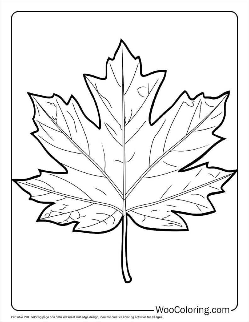100  Leaf coloring pages  Free PDF To Print  - 46