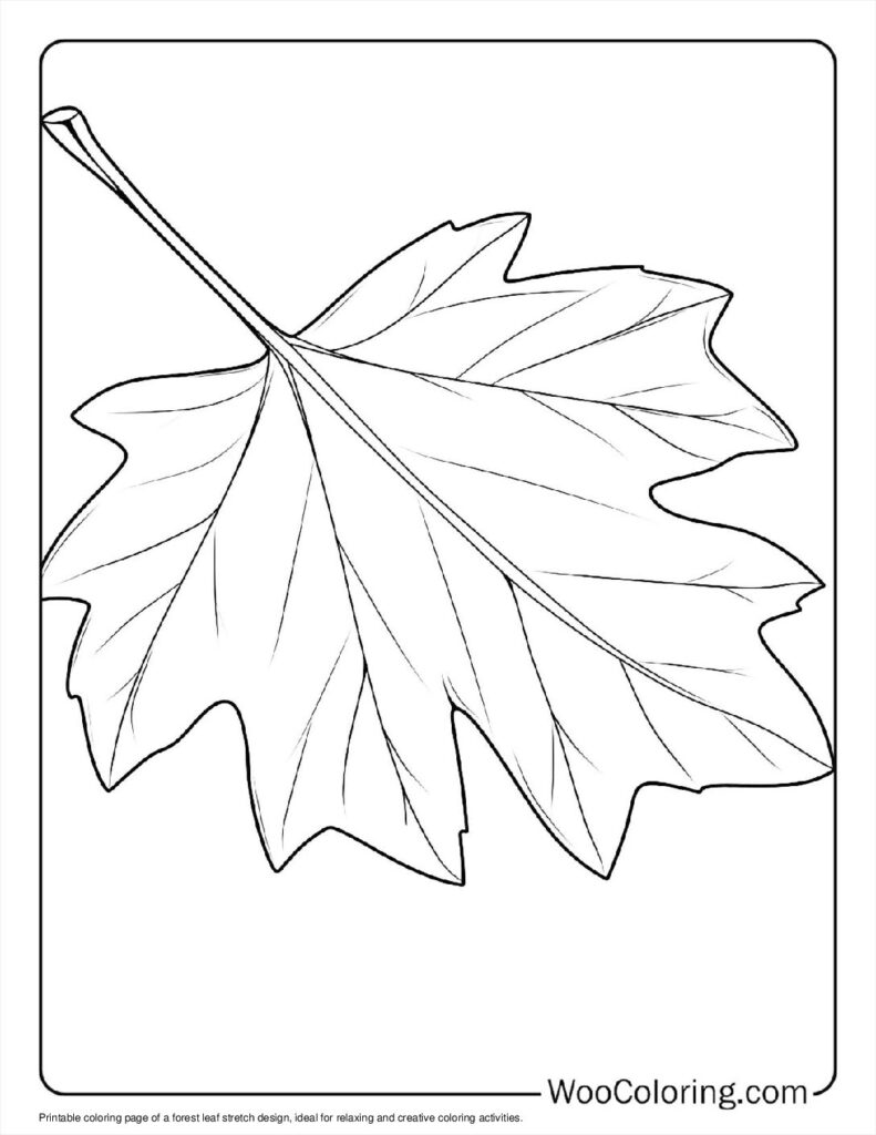 100  Leaf coloring pages  Free PDF To Print  - 34