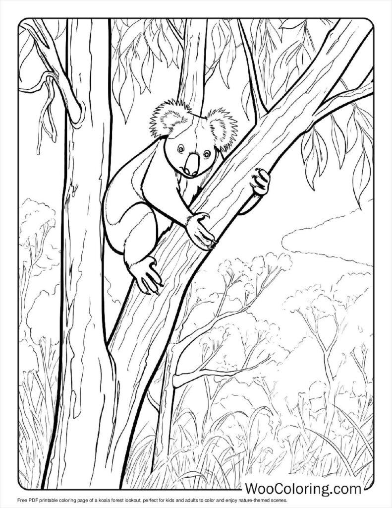100  Koala coloring pages  Free PDF To Print  - 36