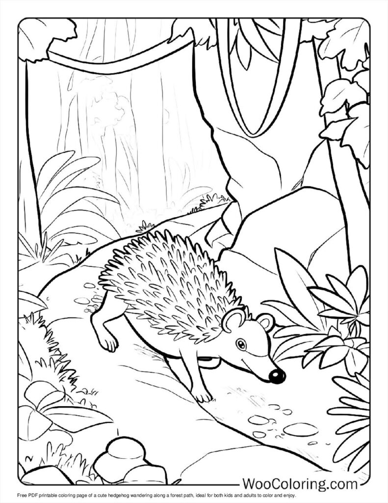 100  Hedgehog coloring pages  Free PDF To Print  - 21
