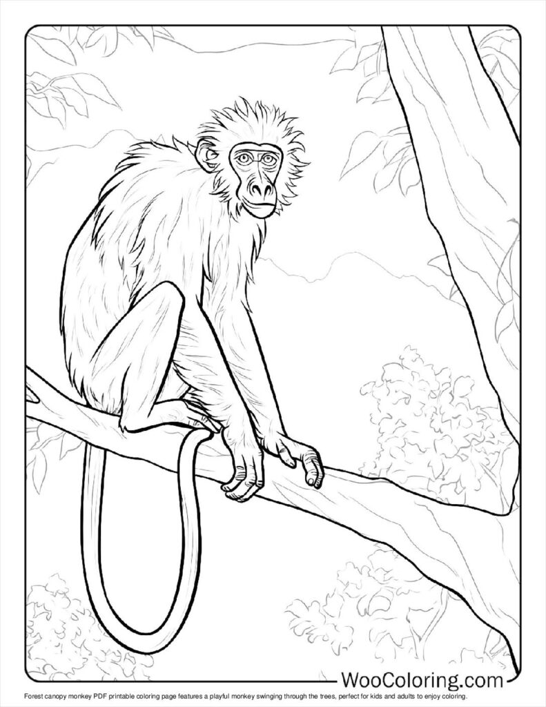 100  Monkey coloring pages  Free PDF To Print  - 64