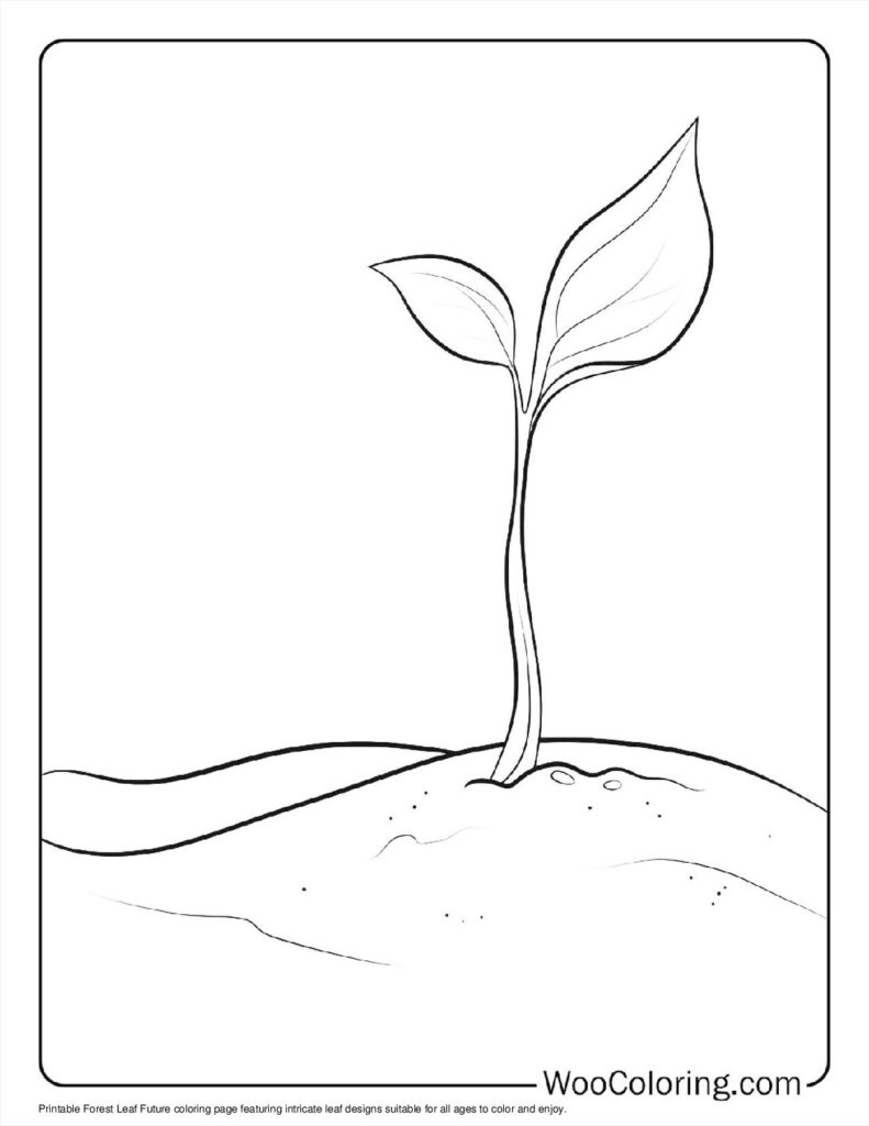100  Leaf coloring pages  Free PDF To Print  - 12