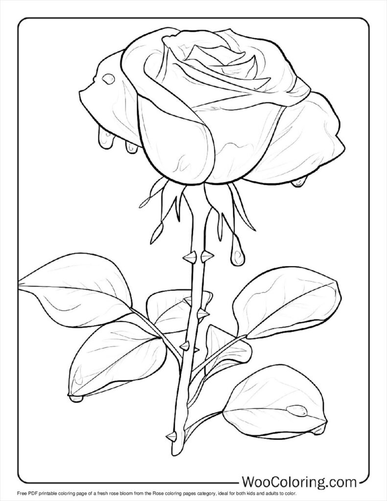 100  Rose coloring pages  Free PDF To Print  - 58