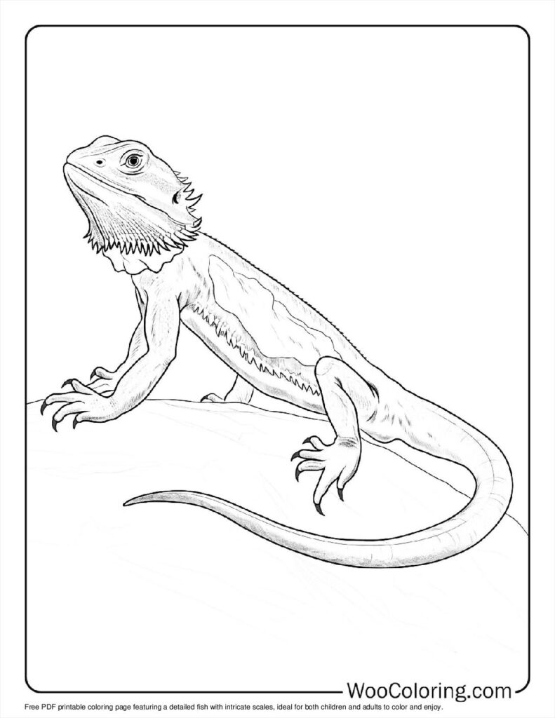 Fresh Scales Coloring Page For Kids