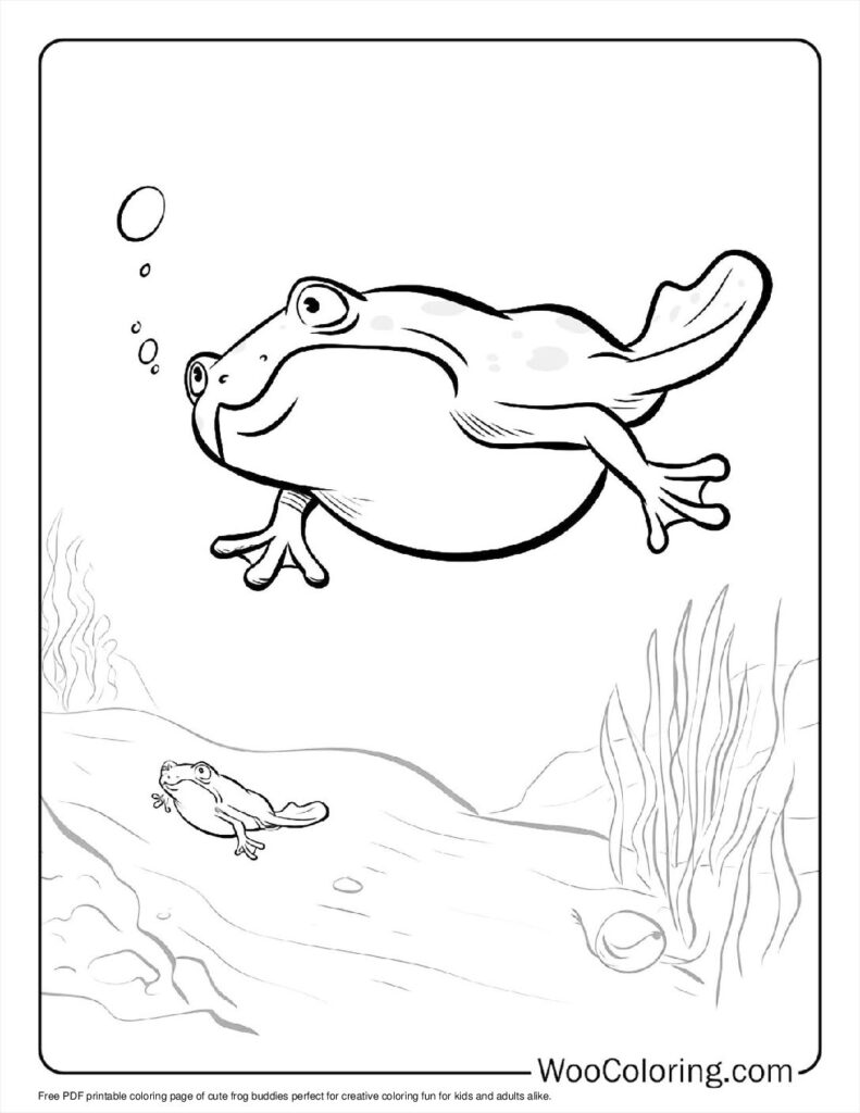 100  Frog coloring pages  Free PDF To Print  - 16