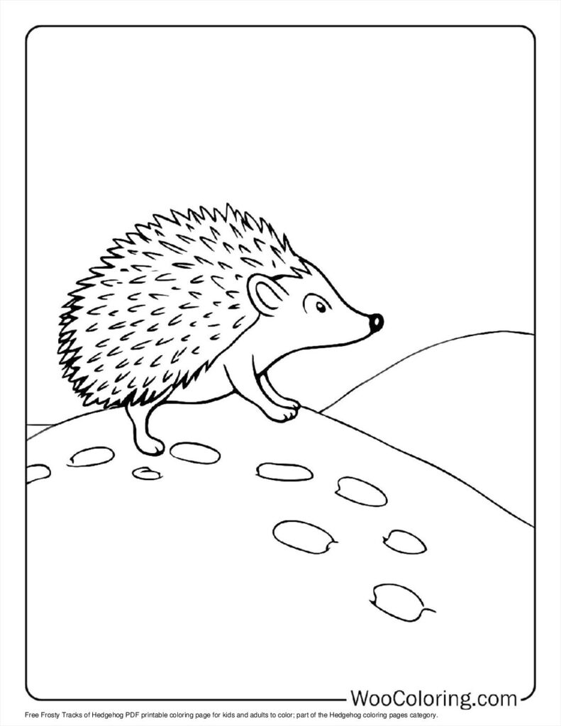 100  Hedgehog coloring pages  Free PDF To Print  - 5