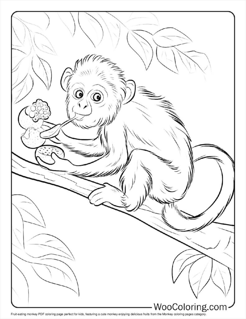 100  Monkey coloring pages  Free PDF To Print  - 46