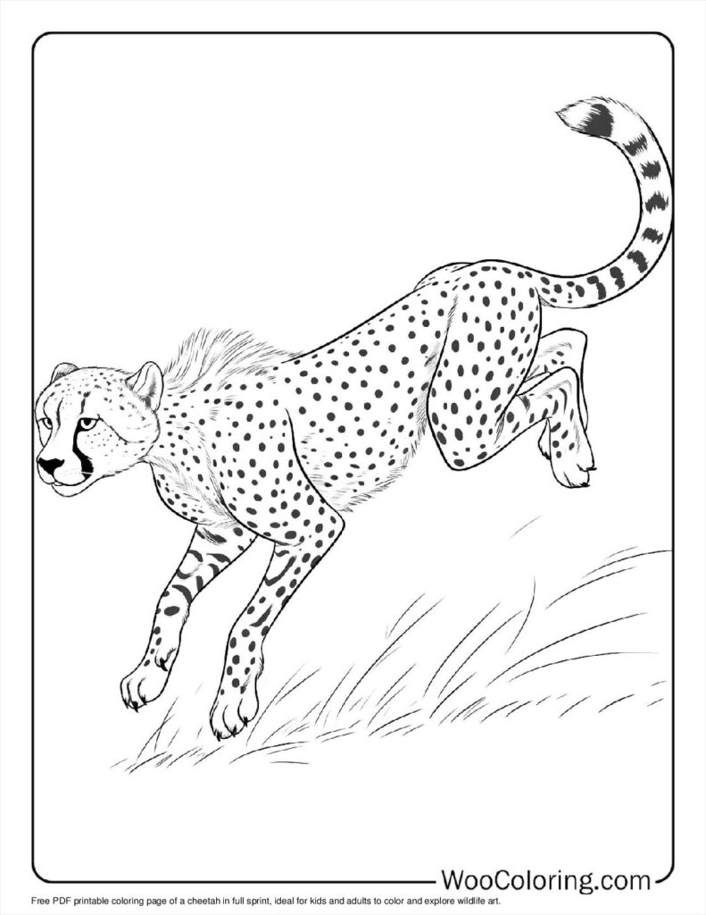 100  Cheetah coloring pages  Free PDF To Print  - 8