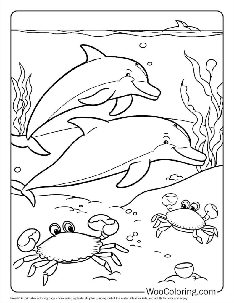 100  Dolphin coloring pages  Free PDF To Print  - 29