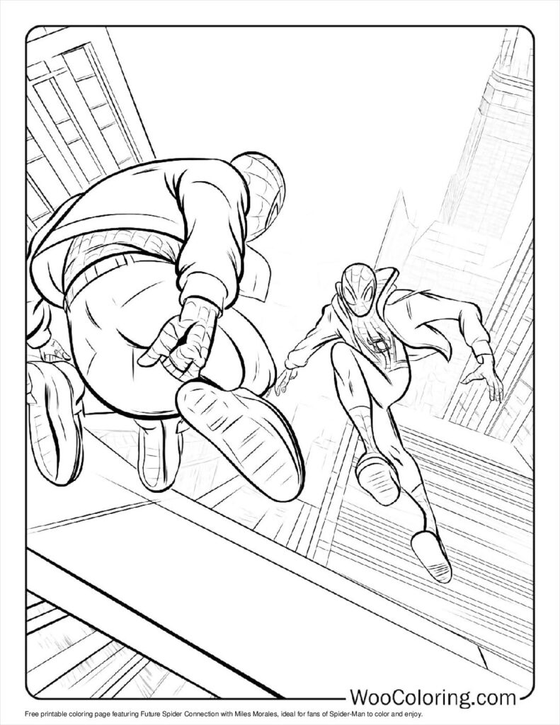 Future Spider Connection