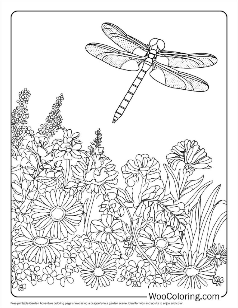 100  Dragonfly coloring pages  Free PDF To Print  - 91