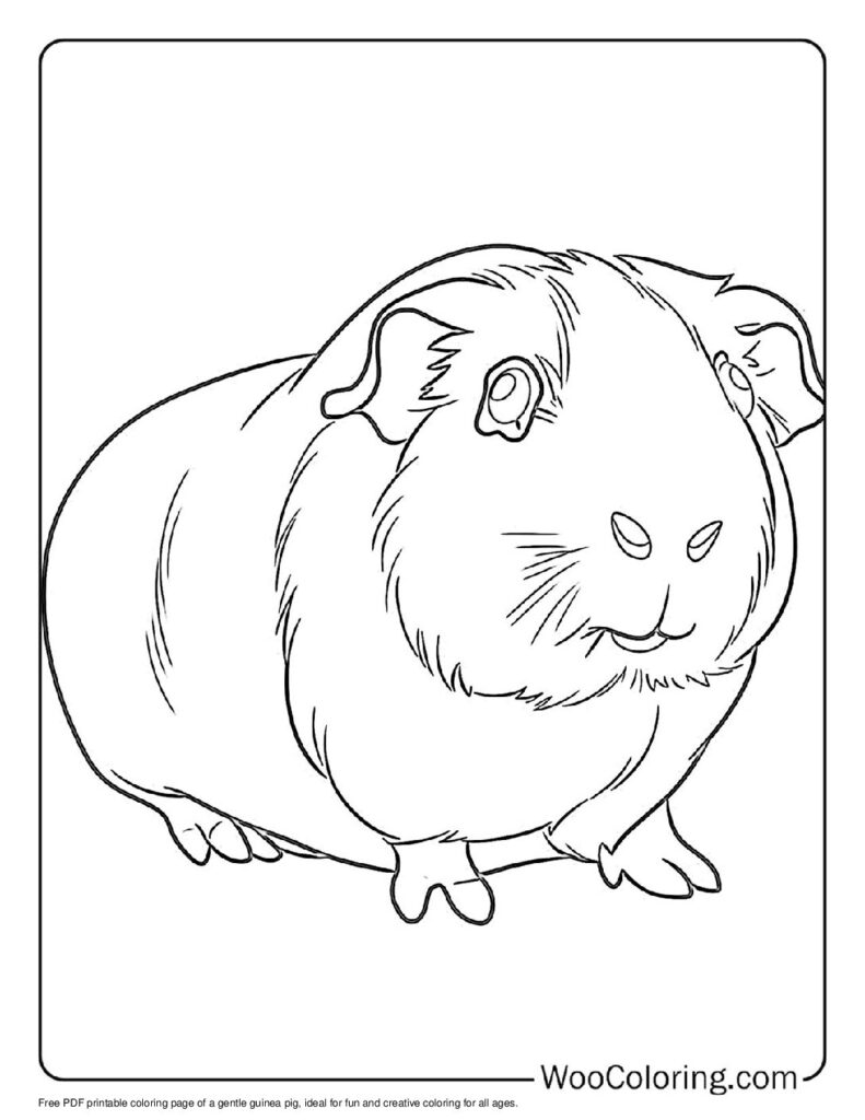100 Guinea Pig coloring pages Free PDF To Print - 31
