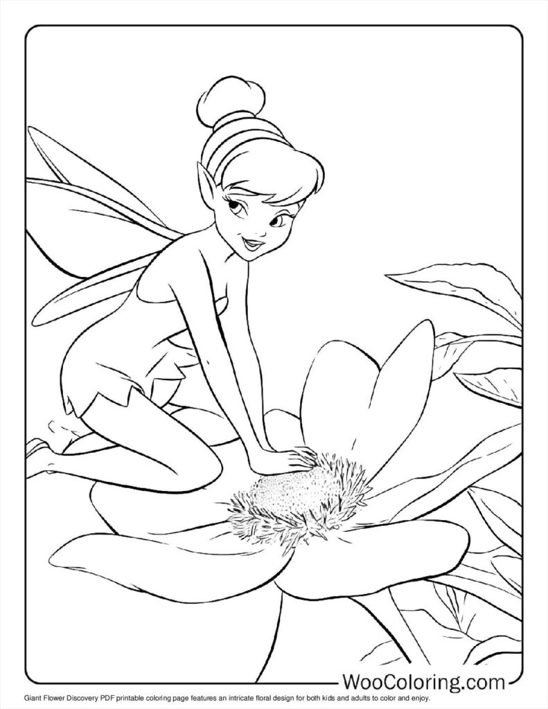 Giant Flower Discovery