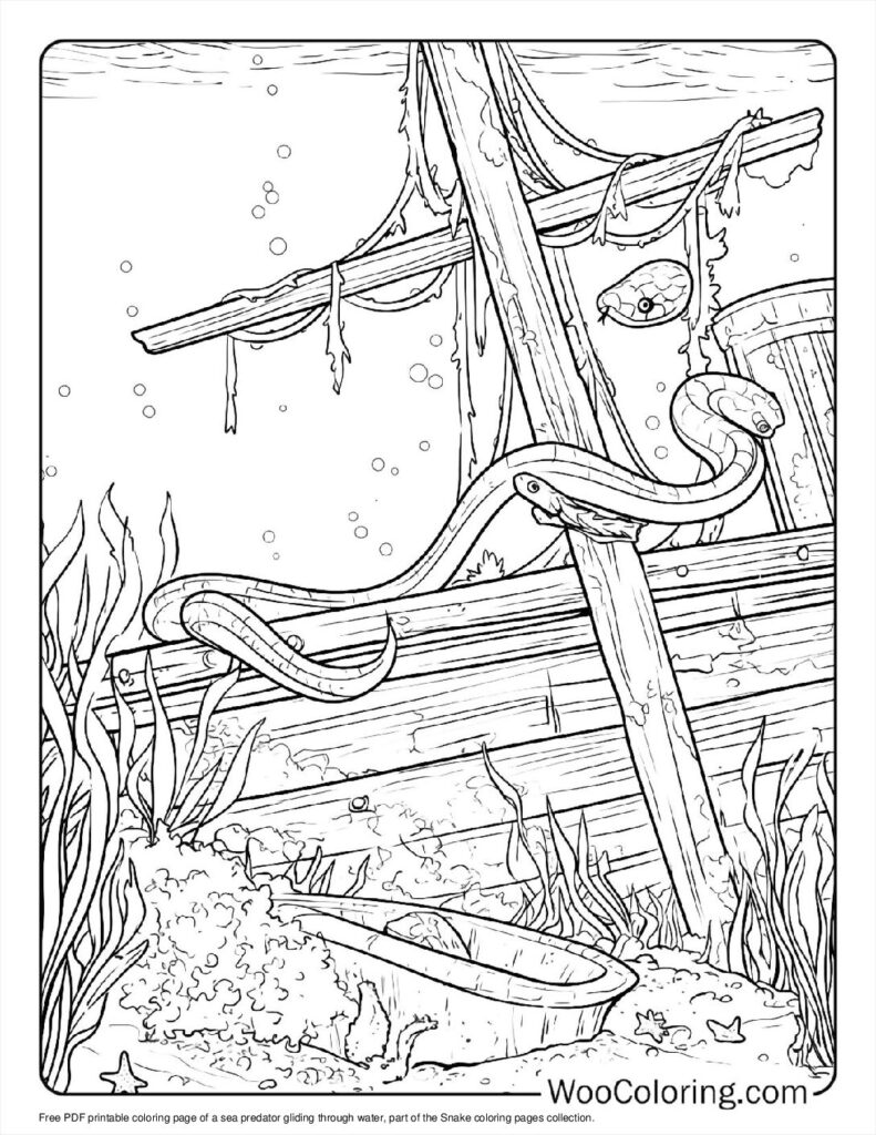 Gliding sea predator