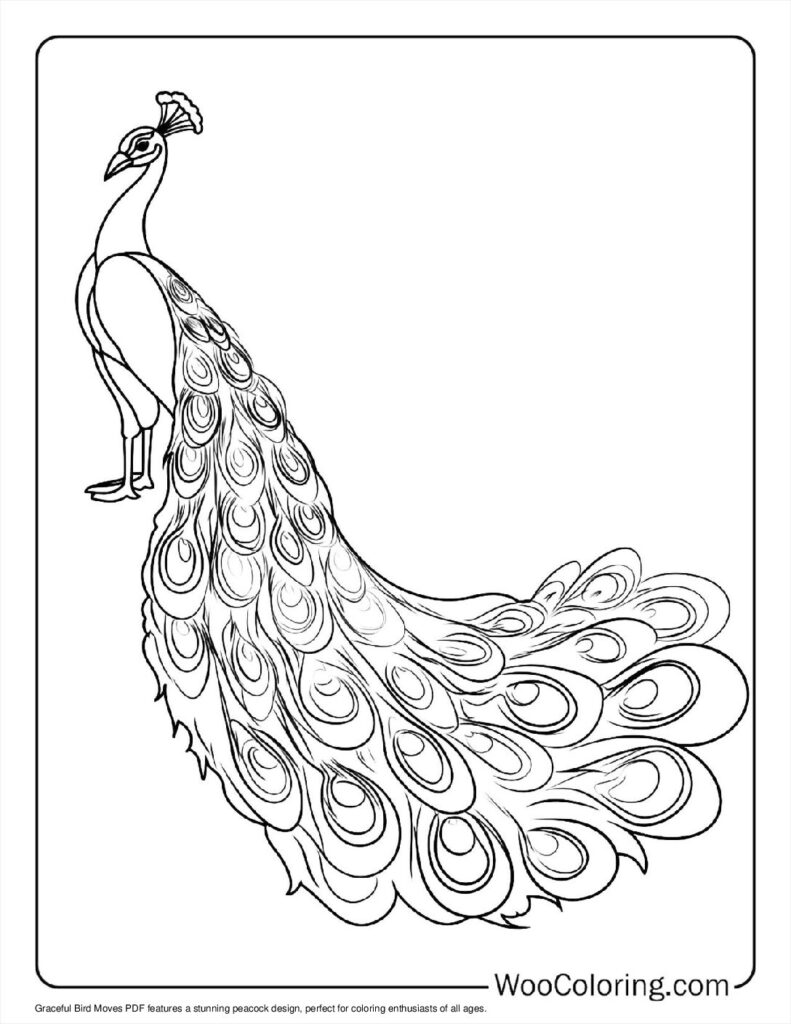 100  Peacock coloring pages  Free PDF To Print  - 80