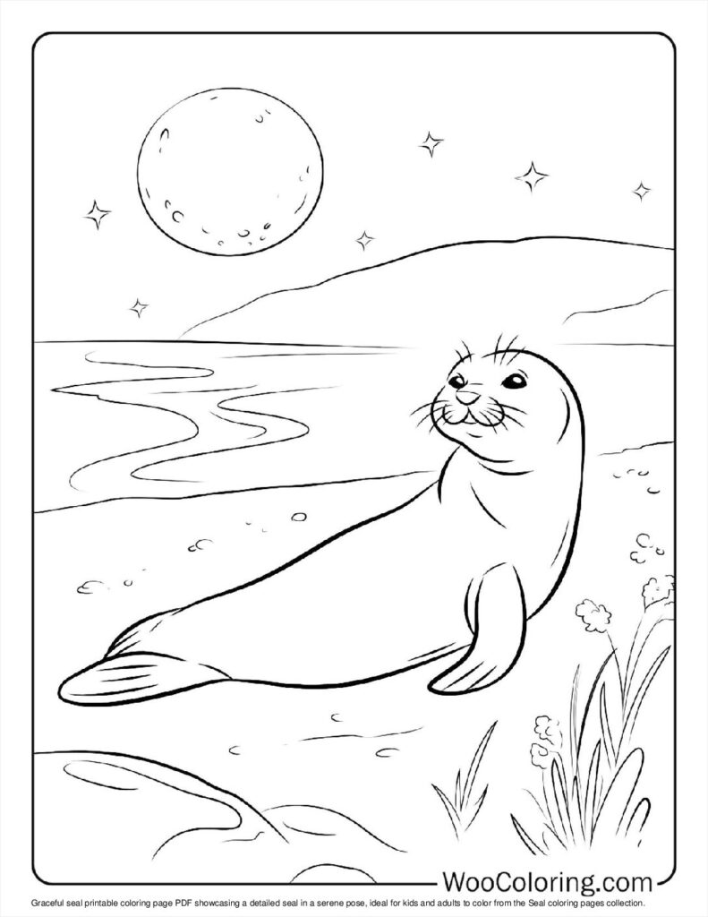100  Seal coloring pages  Free PDF To Print  - 52