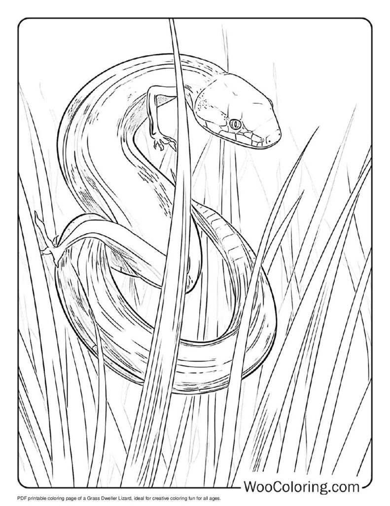 100  Lizard coloring pages  Free PDF To Print  - 84