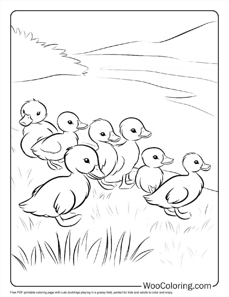 100  Duck coloring pages  Free PDF To Print  - 63