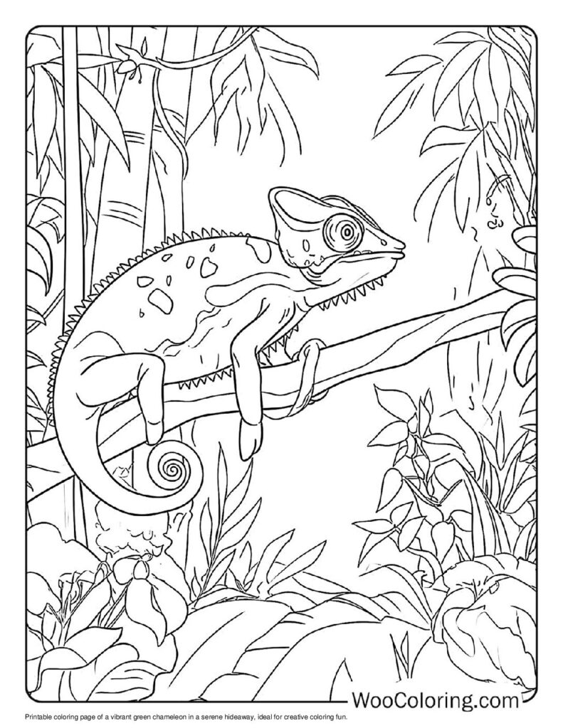 100  Chameleon coloring pages  Free PDF To Print  - 81