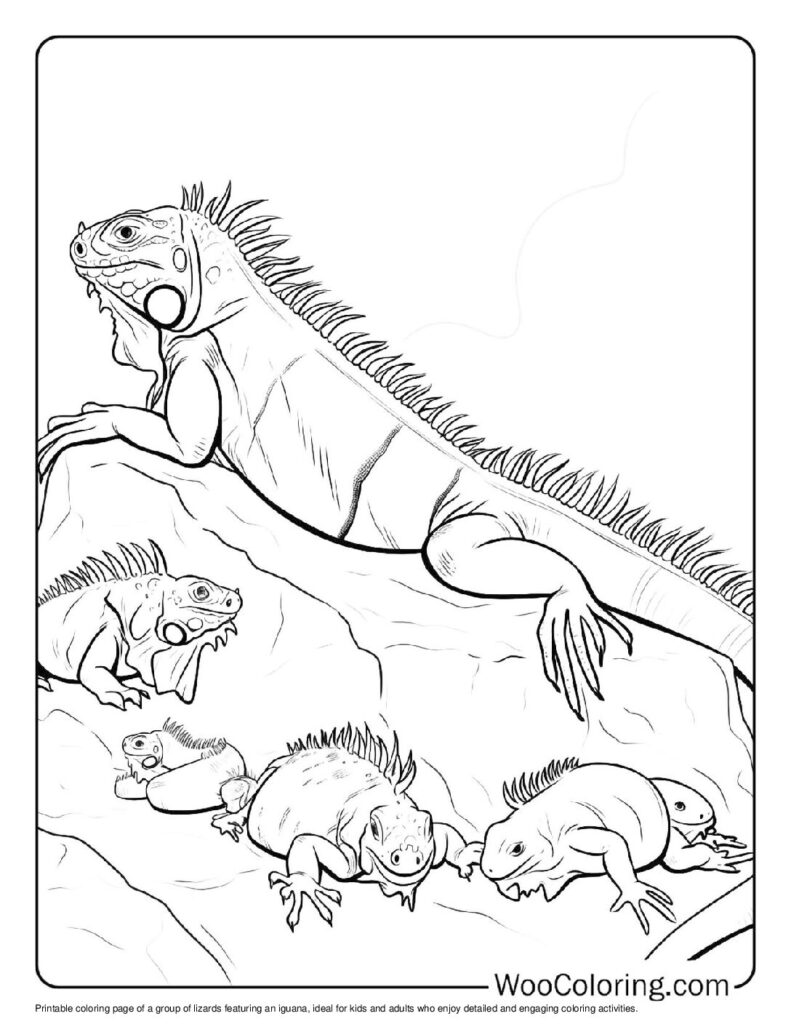100 Iguana coloring pages Free PDF To Print - 47