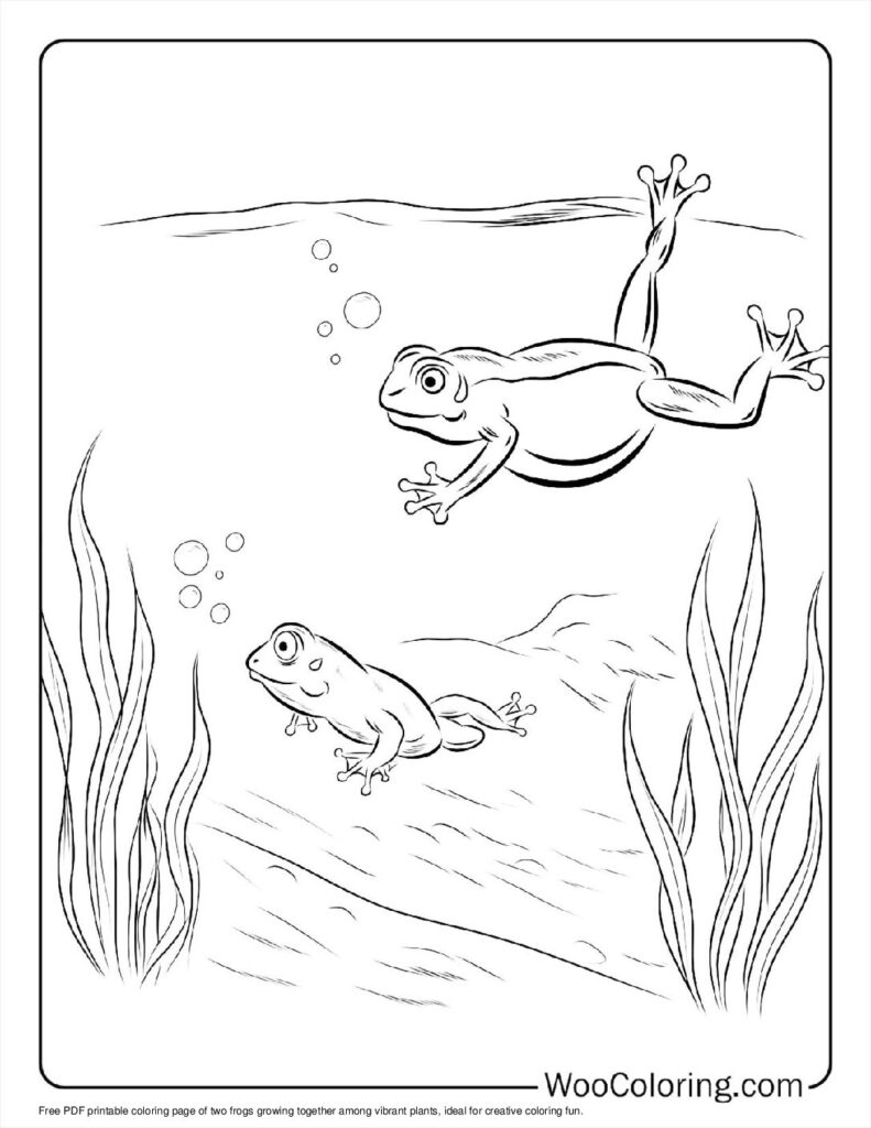 100  Frog coloring pages  Free PDF To Print  - 67