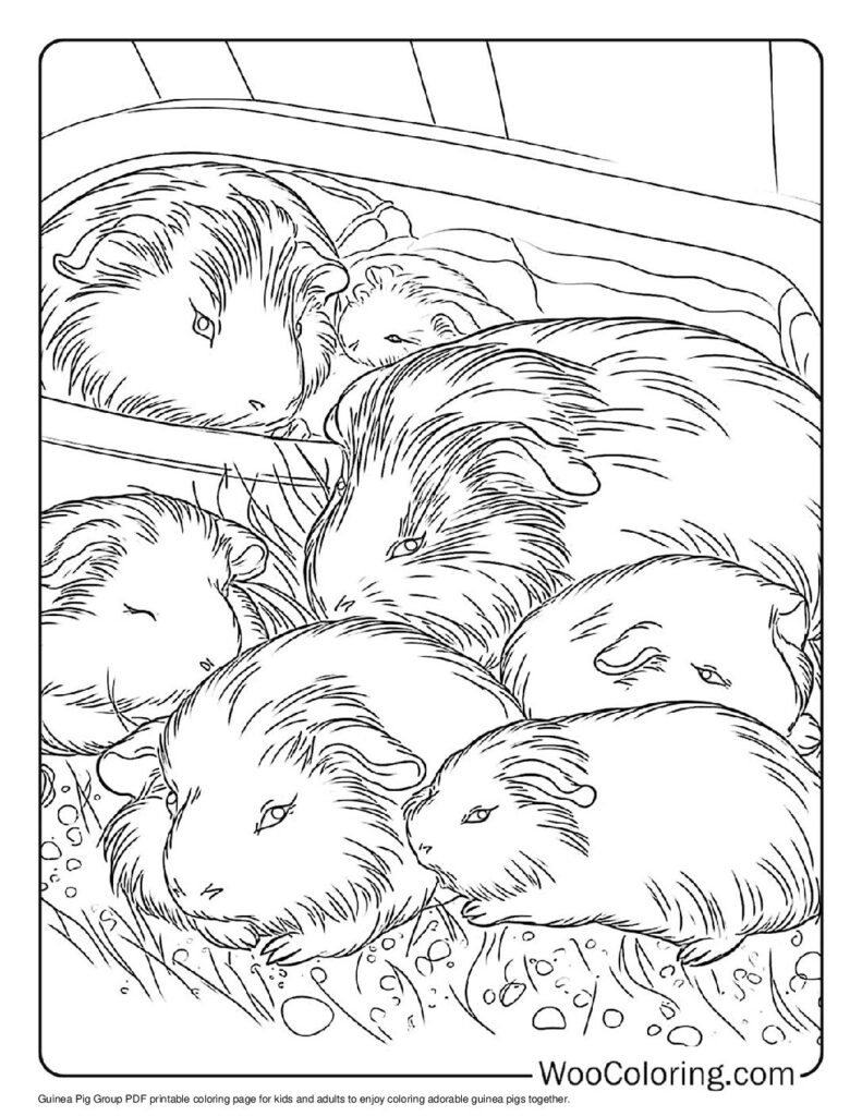 100 Guinea Pig coloring pages Free PDF To Print - 68