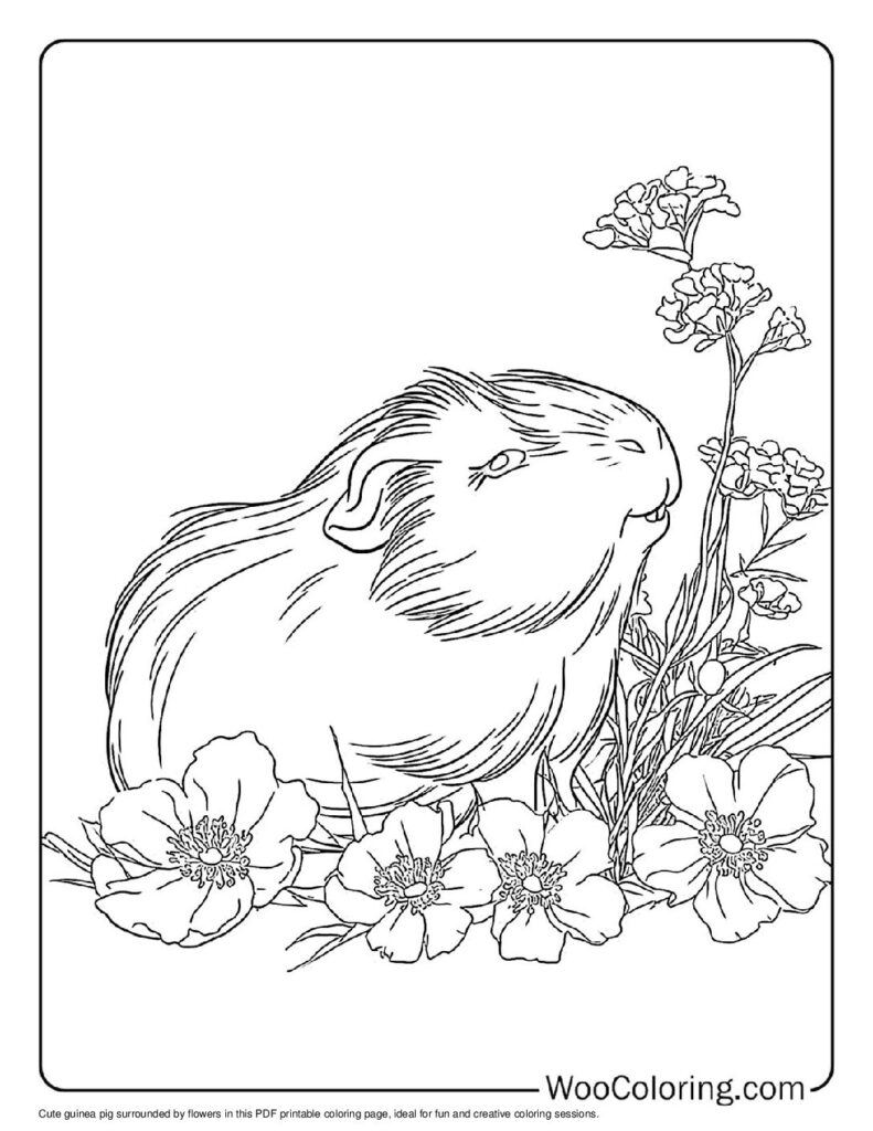100 Guinea Pig coloring pages Free PDF To Print - 80