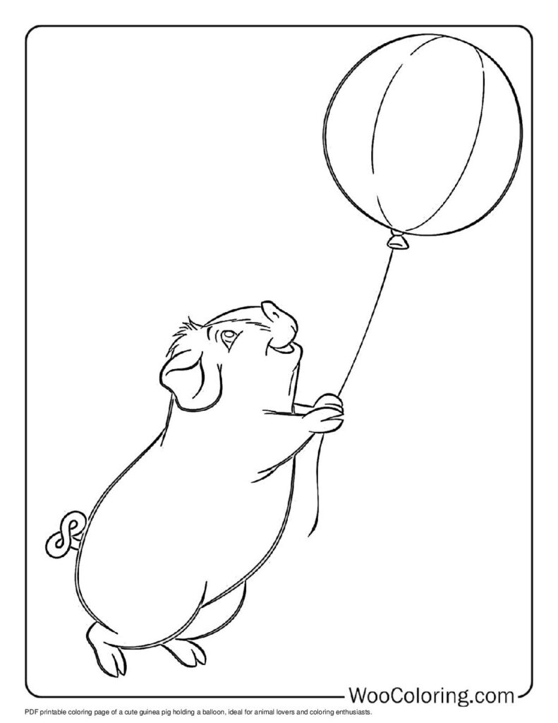 100 Guinea Pig coloring pages Free PDF To Print - 70