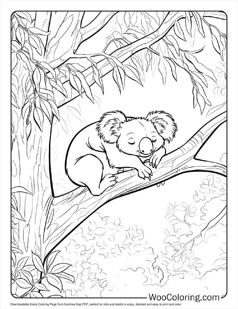 100  Koala coloring pages  Free PDF To Print  - 78