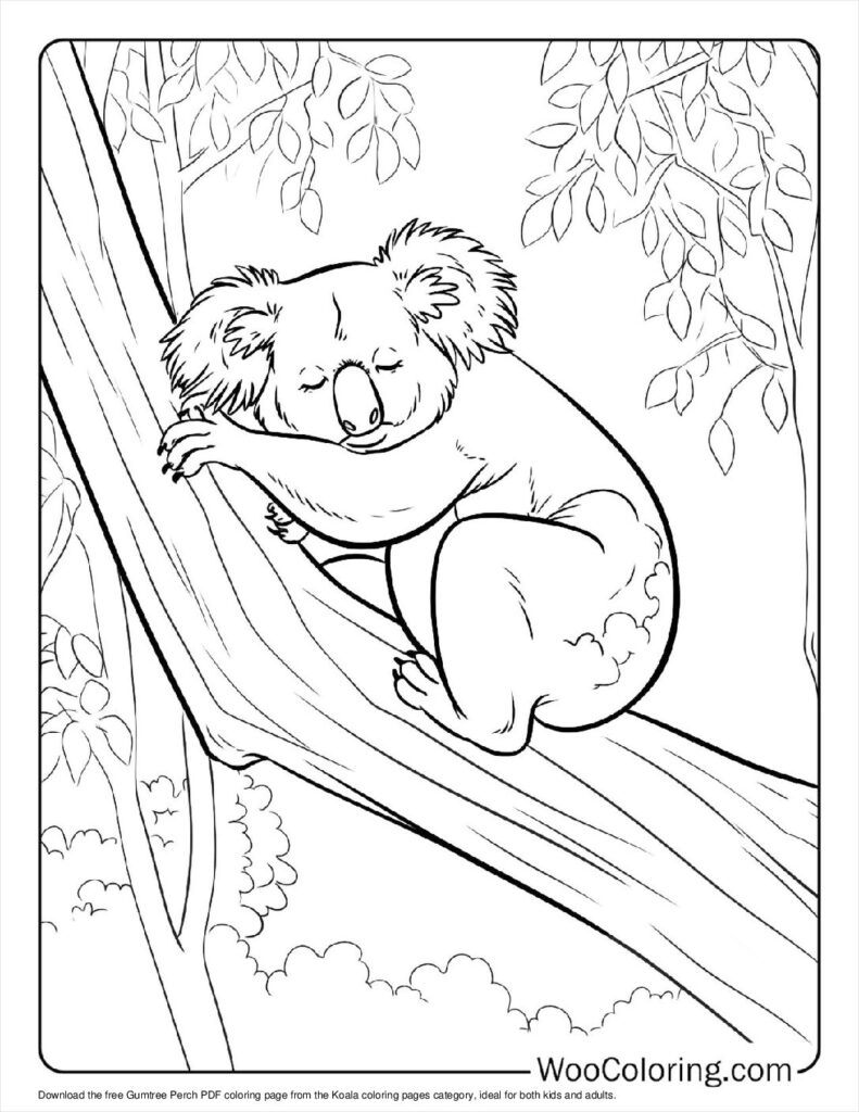100  Koala coloring pages  Free PDF To Print  - 64