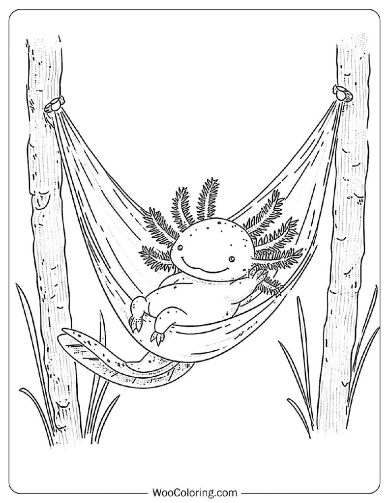 Hammock Axolotl For Kids