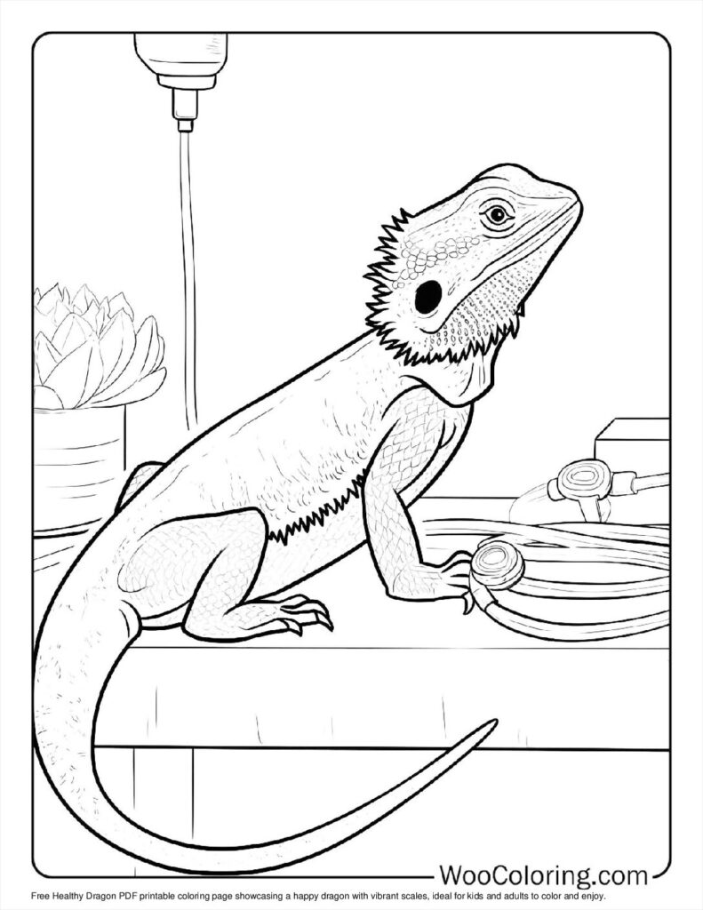 Healthy Dragon Coloring Page For Kids