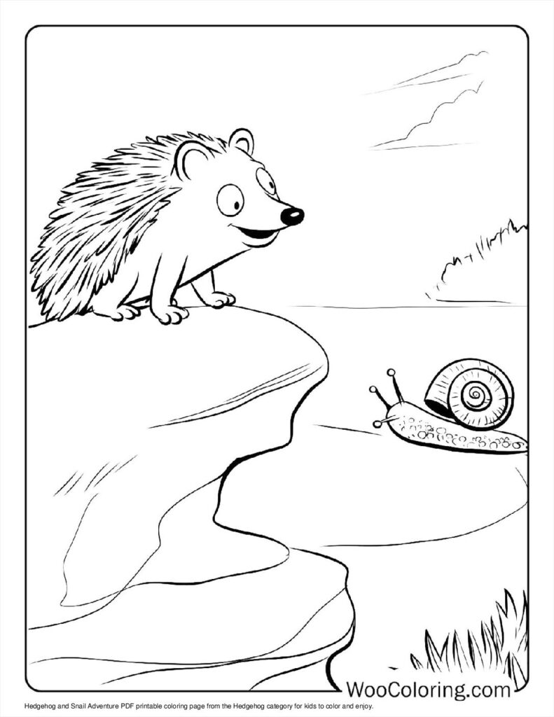 100  Hedgehog coloring pages  Free PDF To Print  - 65