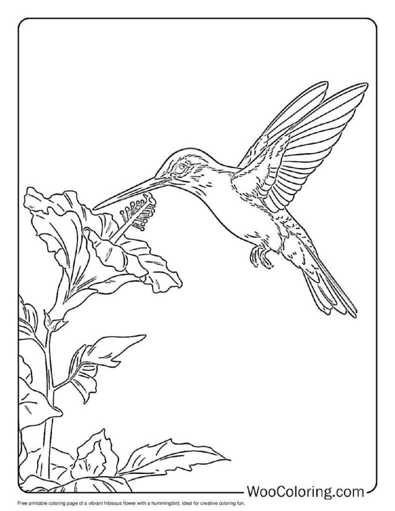 100 Hummingbird coloring pages Free PDF To Print - 73