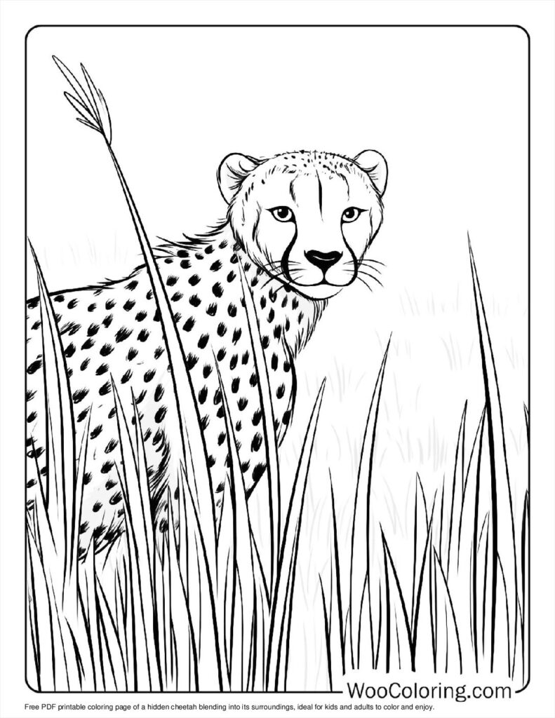 100  Cheetah coloring pages  Free PDF To Print  - 3