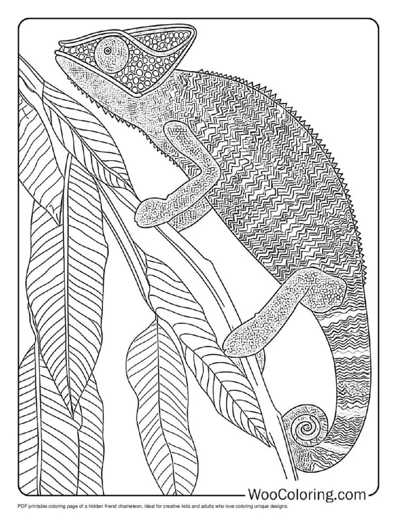 100  Chameleon coloring pages  Free PDF To Print  - 24