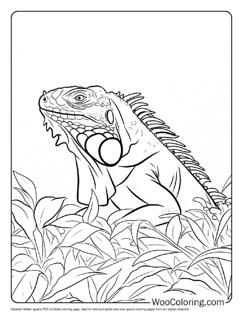 100 Iguana coloring pages Free PDF To Print - 39