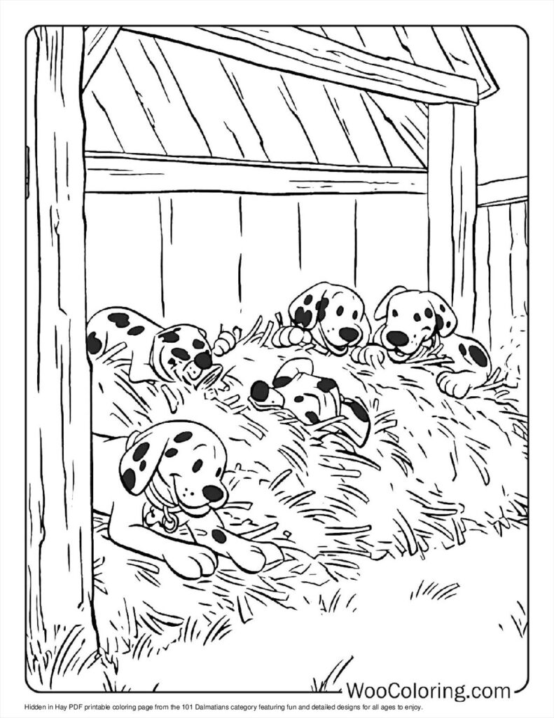 Hidden in Hay