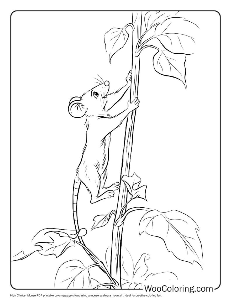 100  Mouse coloring pages  Free PDF To Print  - 14