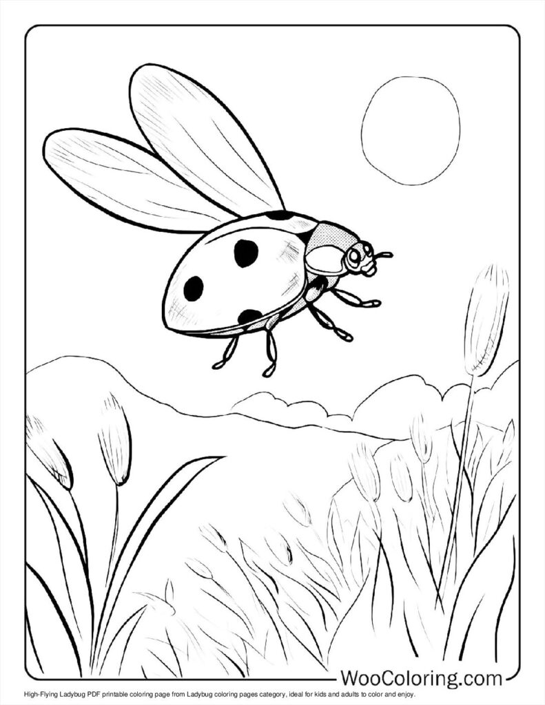 100  Ladybug coloring pages  Free PDF To Print  - 56