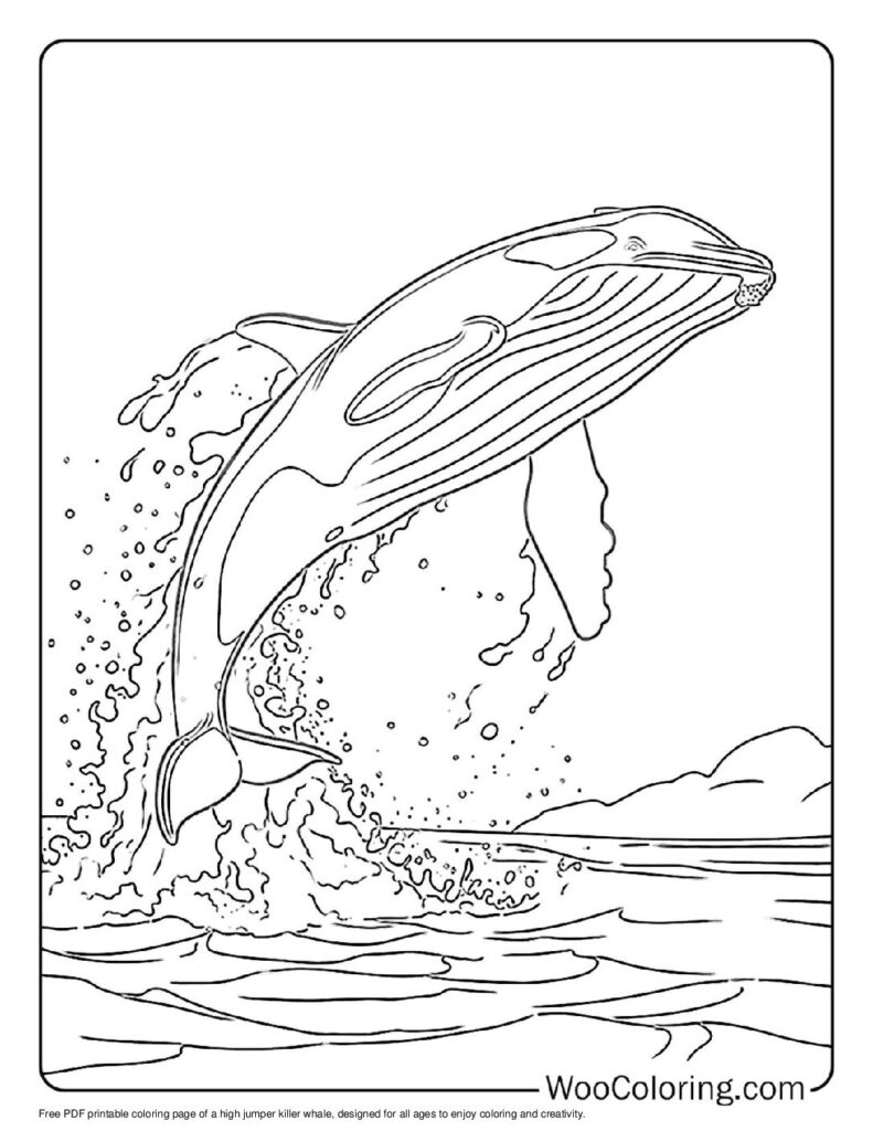 100  Killer Whale coloring pages  Free PDF To Print  - 89